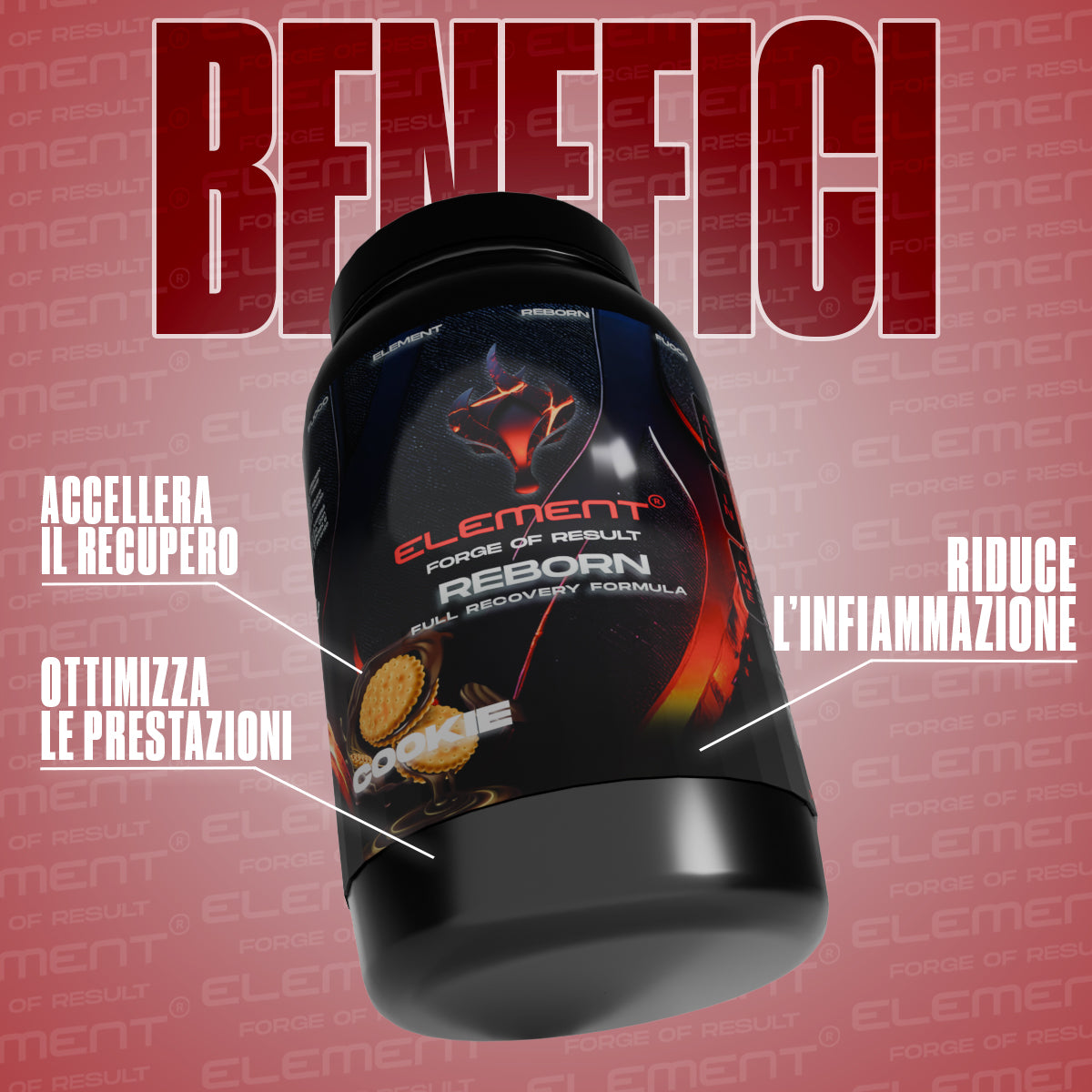 REBORN FULL RECOVERY FORMULA - 600G