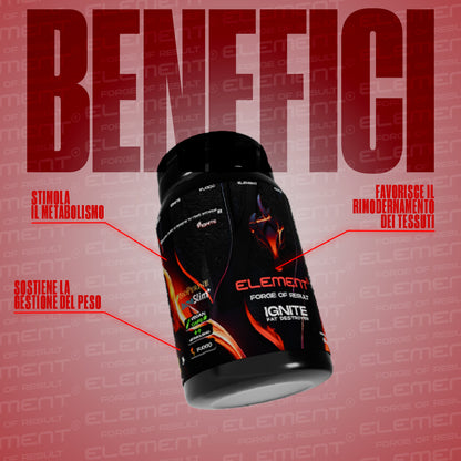 IGNITE -  FAT DESTROYER - 120 CPS