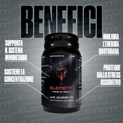 JOURNEY VIT 24 H MULTIVITAMINICO ADATTOGENO - 120CPS