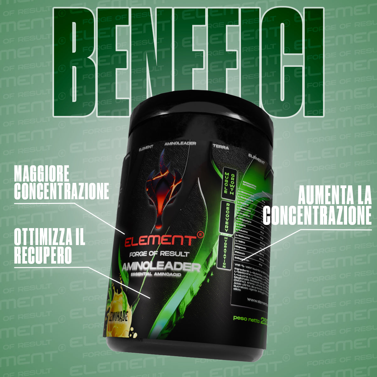 AMINOLEADER AMINOACIDI ESSENZIALI - 250G